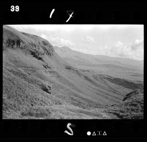 Gairinzannaihekinomidorinosurōpu.daikanboukaramieru