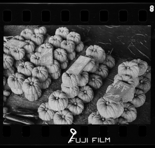 Yatsushirofukindehakabochamoooi