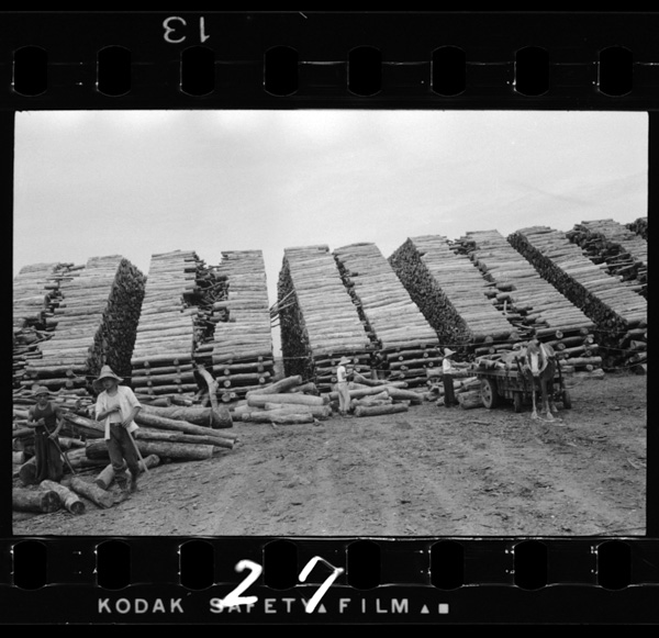 Yatsushirokounochobokujou.yatsushirokarakairoishutsusarerumonomoooi