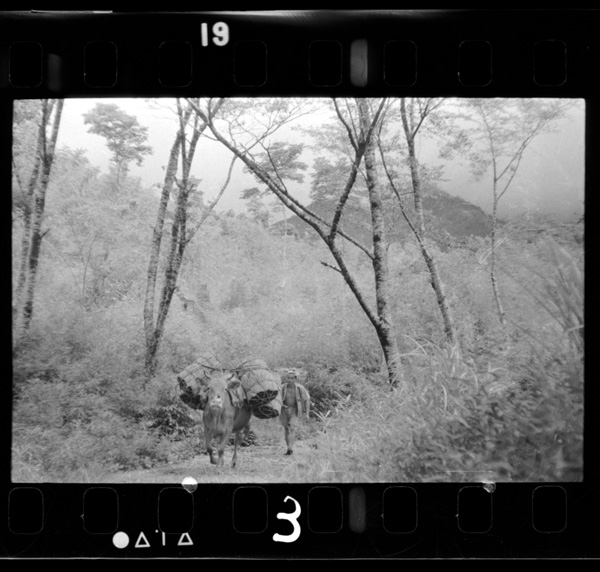 Kenritsukouennishiteisareteiruichifusayamasanrokudeharingyougashusangyou