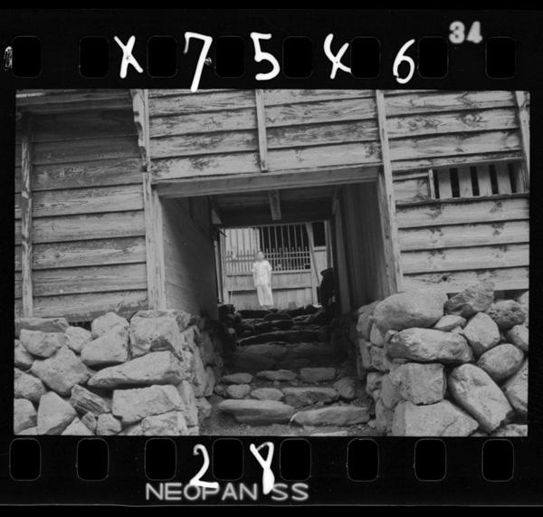 Inkyobeyanoshitanomon.dannahaizenhiroisanrinwomotteiru