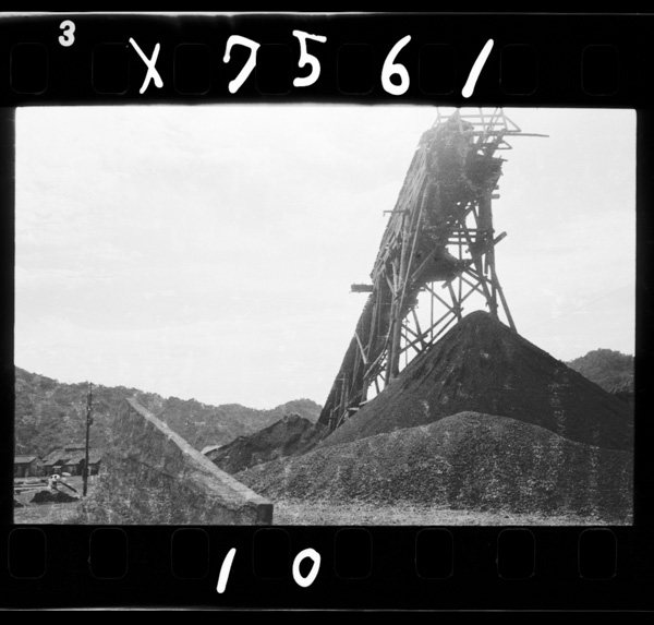 Koukyuumuentannotankou.amakusa