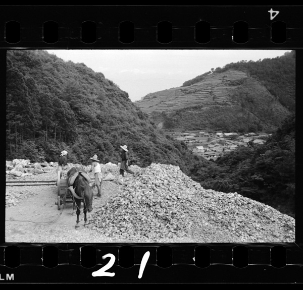 Amakusatouishinosaishu.shimoda