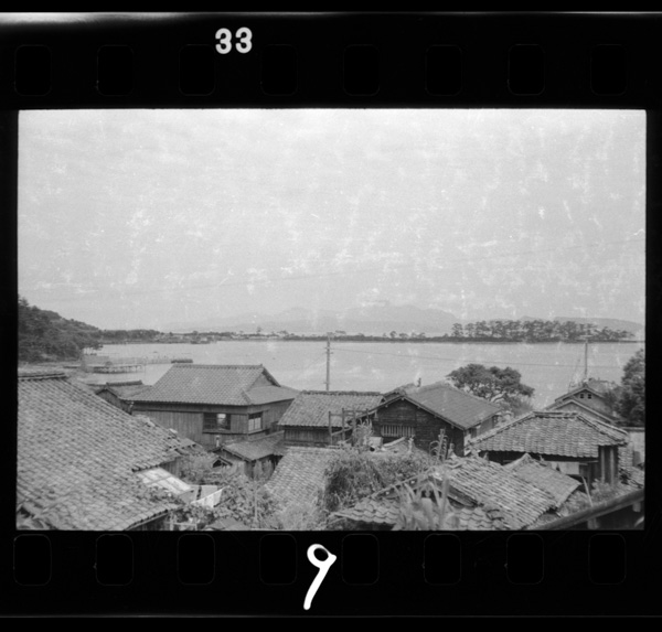 Tomioka.shimoshimahokuseinochuushinde,amakusanorannokuyouhigaaru