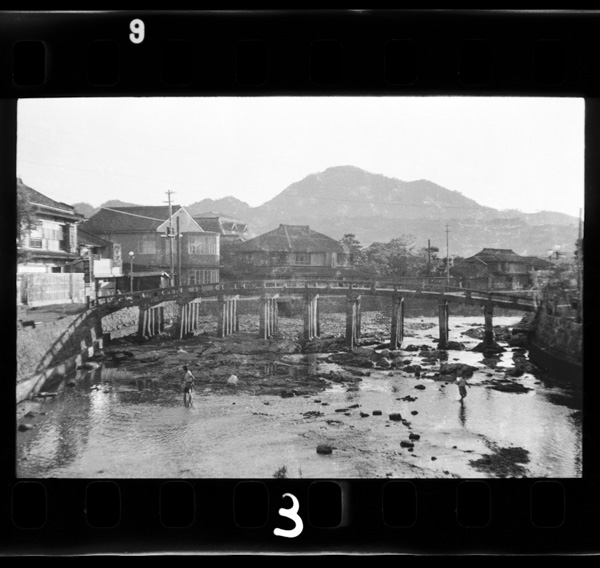 Hondoshihaamakusanochuushindekirishitannoisekinitomu