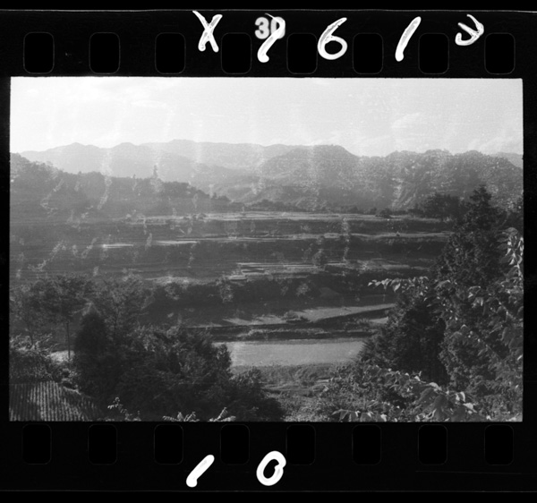 Tsurukawaryuuikinihirakerudandanbatake.katsuragawatonogouryuutenfukin.uenohara