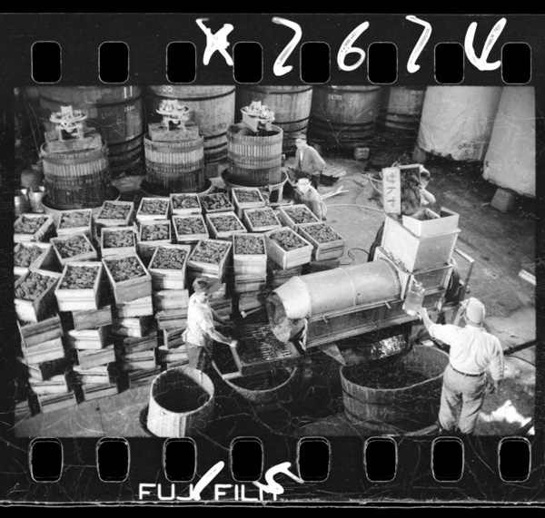 Budoushunoshikomi.juugatsuchuujungorogasaiseiki.koufushinojouzoukoujou