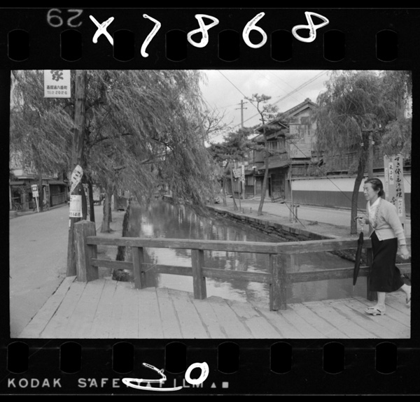 Teishitchinoniigatashinainihaogawayahashigaooi