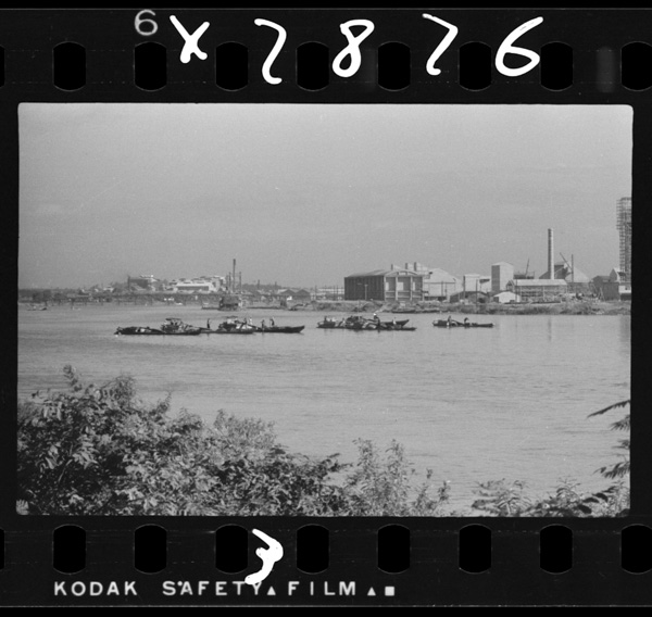 Shinanogawakakounohigashigawahakougyouchitai