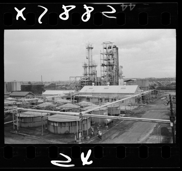 Seiyukoujou.niigatashi