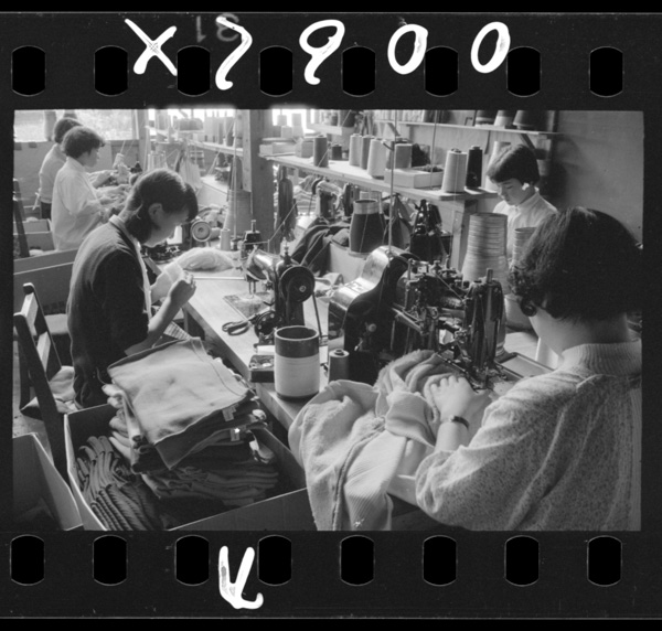 Gosenshihameriyasunoseisangaooi