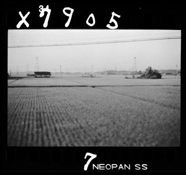 市の北部にひろがる八橋の油田地帯