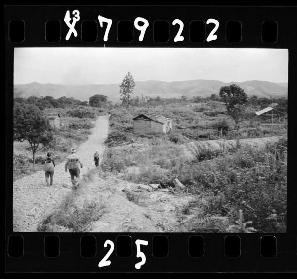 十和田湖カルデラ南麓の開拓地