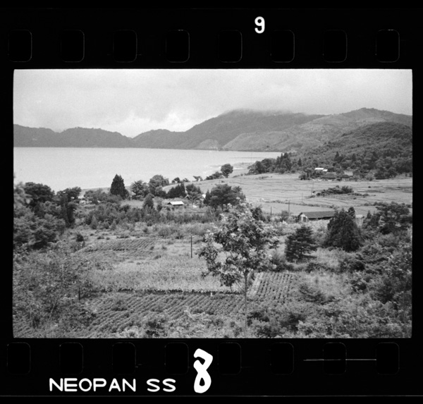 Tazawakogan.karuderanonakanisemaikouchigahiraketeiru