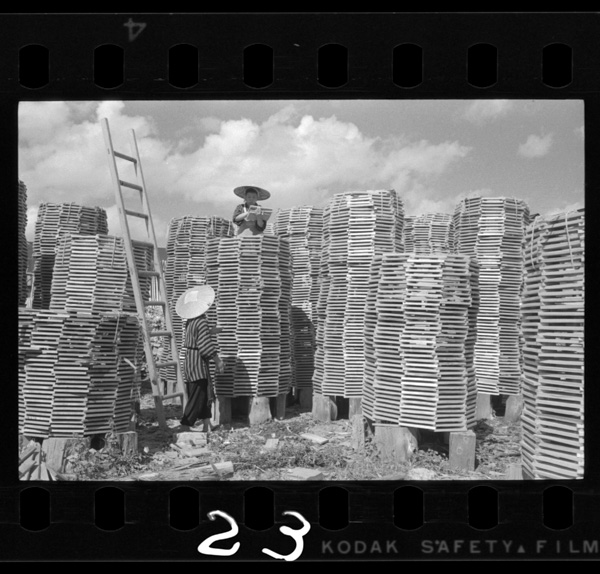 Tarumarukoujounokansoujou.noshiroshi