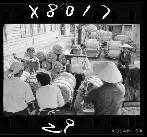 Noukyoudekeiryoukensagaaru