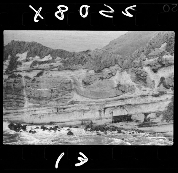 Yoneyamasanrino「ushigakubi」shuukyoku.kaiteikazannofunshutsubutsunoshuukyokugamirareru