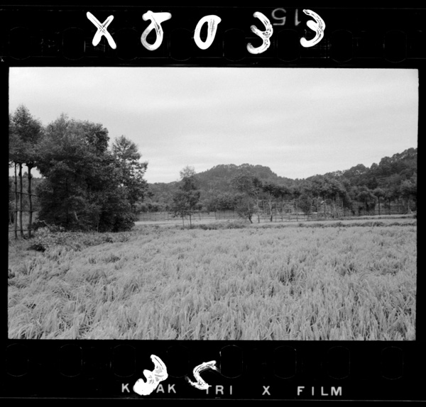 Kasugayamajoushi.takadashi