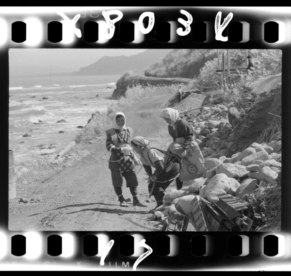 Kaiganzoinokokudouwohoshuusuruhitobito.naoetsushi