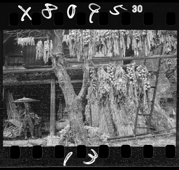 Yasaiwohoshiteyukibukaifuyunisonaeru.hinoemata