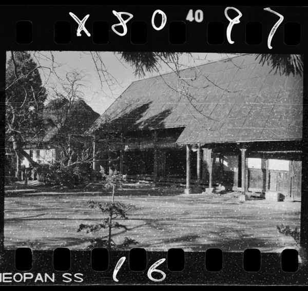 Noguchihideonoseika.inawashiro