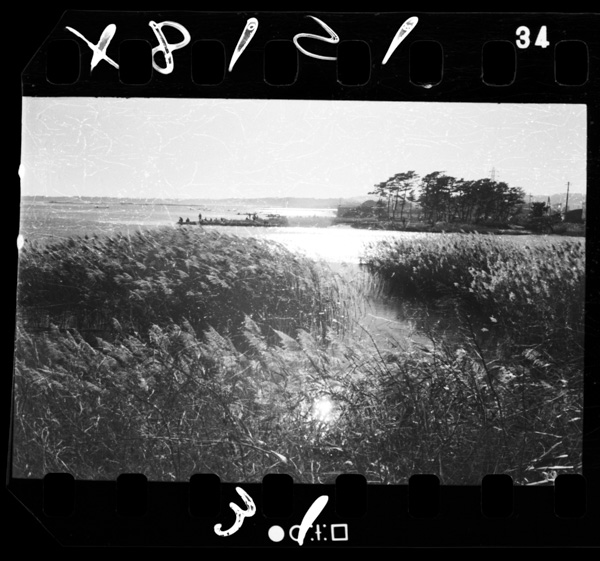 鮫川河口.浜通り海岸では珍しく洲がひろがる.勿来市