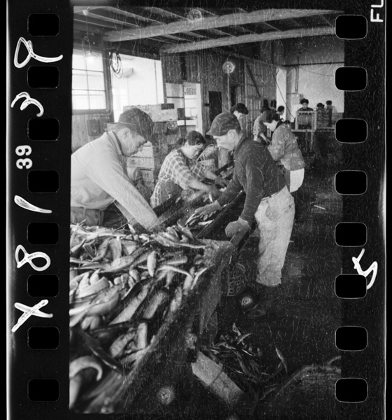 Sanmanoreitoukoujou.enakou