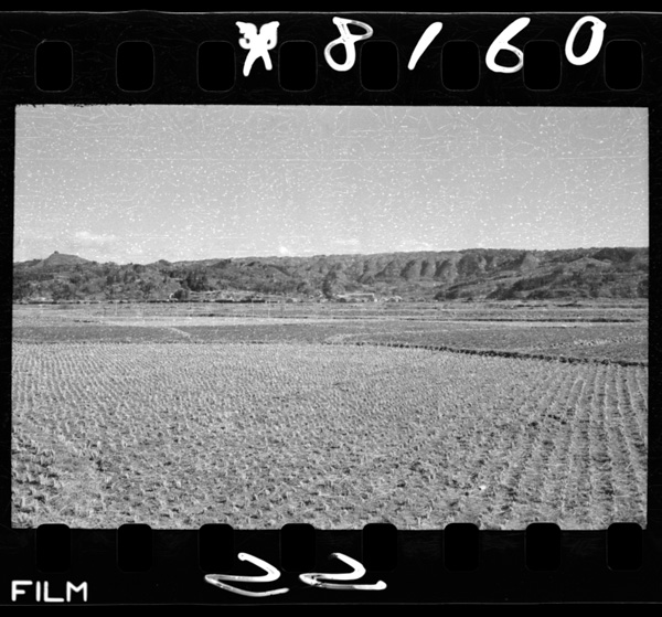 Hanawafukinkaraabukumasanchiwomiru