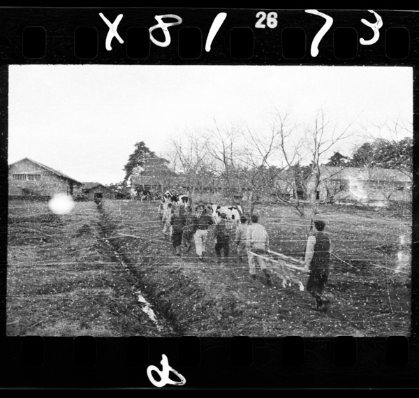 Sukagawashinoshuurennoujounite