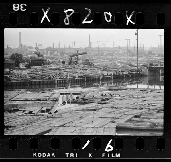 Taishoukunochobokujou