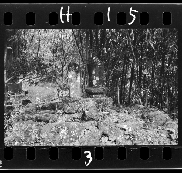 Katsugoroutohatsuhananohaka