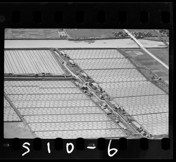 Kasadowanfukinnoenden