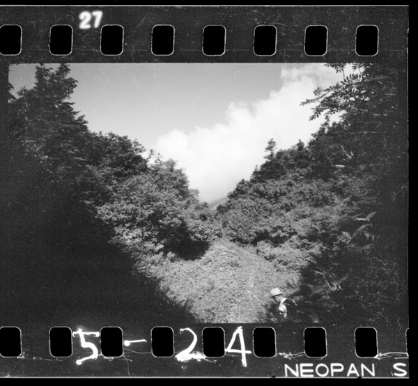 Chikushoudanikarawakiagarugasu