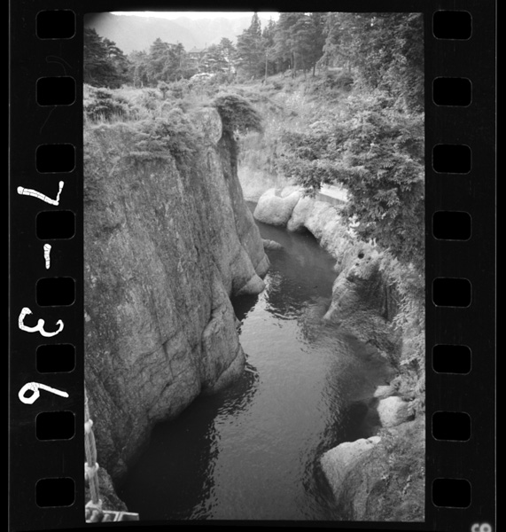 Tedorikyou.saganniouketsugamieru