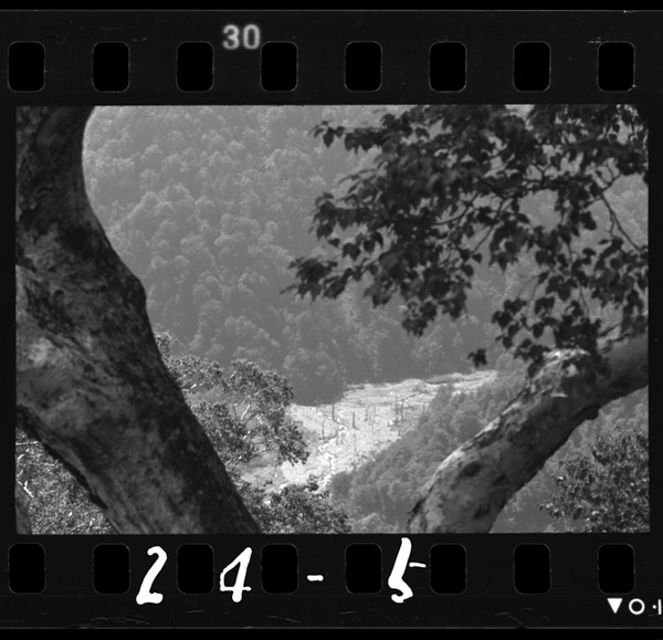 Oojirakawadanitodaigenseirin