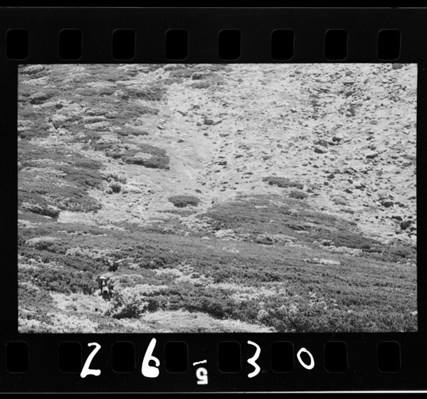 Gozenminenochoujoufukin.ichimennohaimatsuchitaide,haimatsunomiwokonomuraichouyahoshigarasugaooi