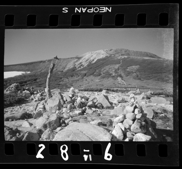 Murodounoyanetogozengamine