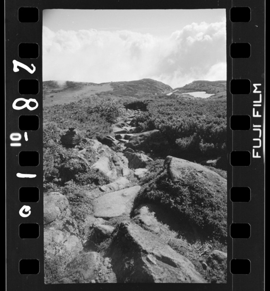 Ishidannoyounagoyousaka