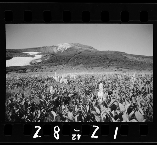 Kobaikeisounogunrakutogozengamine