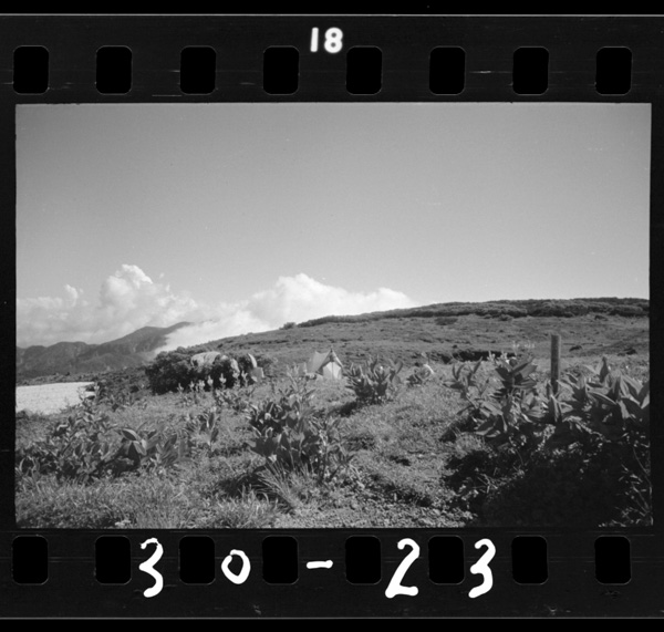 Murodoudairahazekkounokyanpuchi