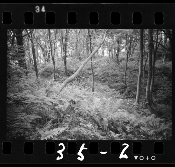 Kyuudoutozanguchi.iriguchihasemakuchiisanakifudagauchitsukerareteiru.kewashiigatozankanihayorokobareru