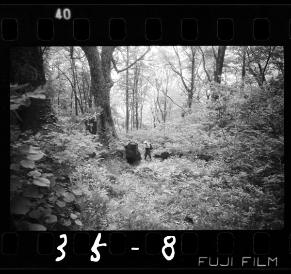 Hirunaokuraigenshirinwotooru