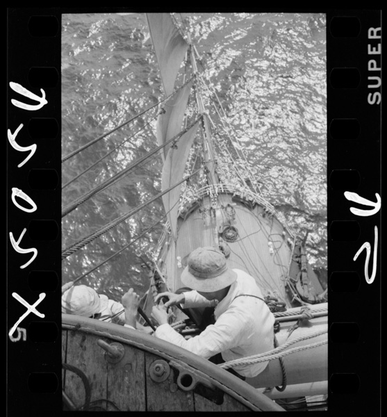 Aodataminoyounakaimen