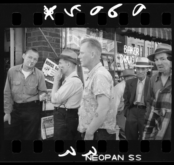 Yasuihamakinonioigahanawotsuku