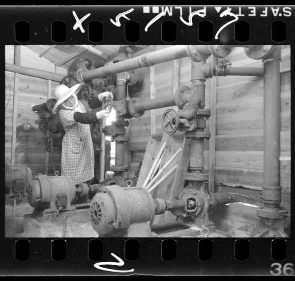 Kaisuihaponpudeshijoukanouemadeageraresasawotsutawatteochiru