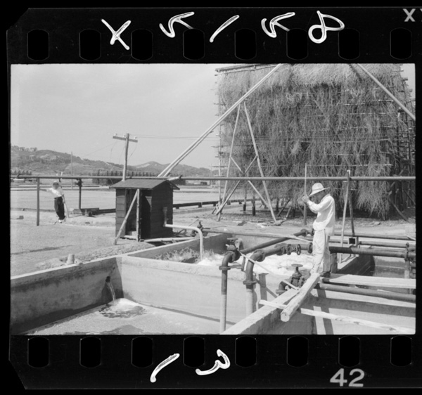 Shijoukadenoushukusaretakaisuihaatsumerarekansuisouniokurareru