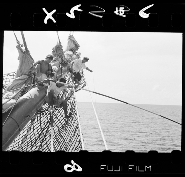 Bausupuritto(miyoshi)ninobottekatsuotsurinotaikoubou■