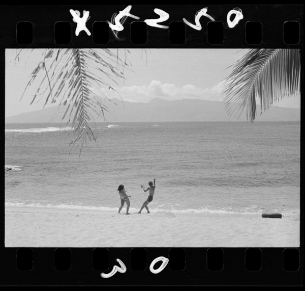 Rahainanokaigan,taiganharanaitou