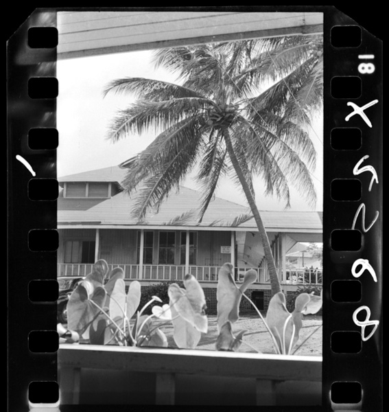 Yourouin niwatotatemono