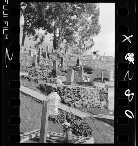 Shokiteichakushanohaka